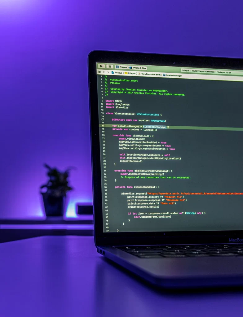 Web Designer Freelancer